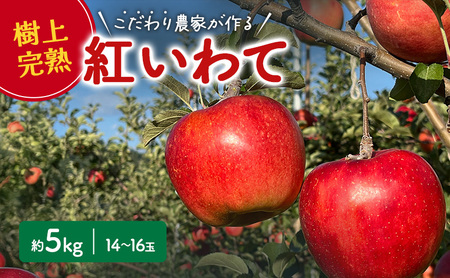 [2025年先行予約 9月中旬より発送] 盛岡りんご 「紅いわて」 約 5kg 14〜16玉 贈答 生産者直送