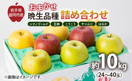 u_ŐlȂv^ʎF܂Ӑilߍ킹iVimS[hAсAATӂA͂邩AAܖAVimXC[gQȏj10kg t