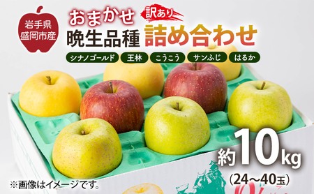 【11月から発送】 りんご 盛岡から「農で人をつなぐ」藤与果樹園：《 訳あり 》おまかせ晩生品種詰め合わせ（ シナノゴールド 王林 こうこう サンふじ はるか ）約10kg 24～40玉 玉数指定不可 詰め合わせ 岩手 盛岡