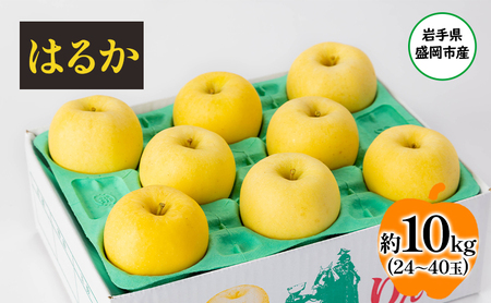 u_ŐlȂv^ʎF͂邩10kg t[c ʕ {̃t[c {̉ʕ { ~   Yn ʐws lߍ킹  