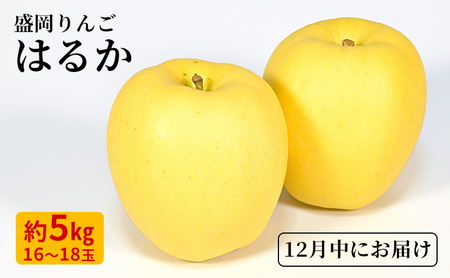 12月限定 りんご 『はるか』 生果実 盛岡りんご 約5kg(18個) 箱 盛岡市 下久保農園産