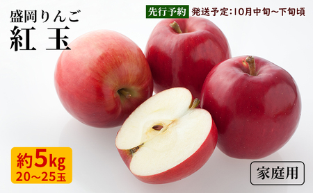 10月限定 りんご 『紅玉』生果実 盛岡りんご 家庭用 約5kg(20〜25個) 箱 盛岡市 下久保農園産