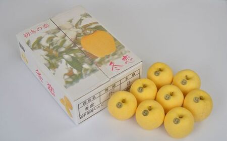 季節限定★冬恋はるか(2.5kg/8〜11個)[季節限定・数量限定]