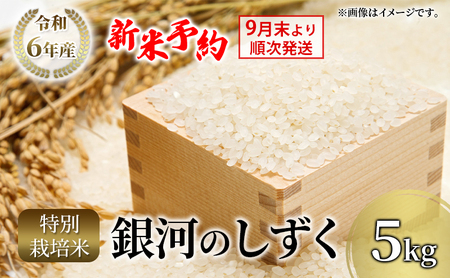 [先行予約]9月末より順次発送 りんご工房きただ 特別栽培米「銀河のしずく」5kg 令和6年 新米 米 精米 白米 お米 こめ コメ ご飯 おにぎり おむすび お弁当 和食 国産 食べ物 盛岡市 岩手県