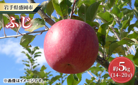 yN_zӂ  n  5kgi14`20ʁjь S ʕ t[c {̉ʕ {̃t[c G߂̉ʕ G߂̃t[c  茧 s