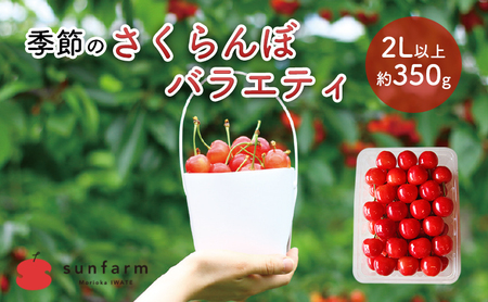 盛岡市 サンファーム 季節のさくらんぼ バラエティ 2L以上 約350g※品種はお選びいただけません 果物類 フルーツ チェリー
