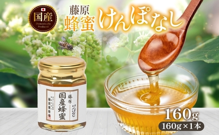 藤原国産蜂蜜 けんぽなし 160g はちみつ ケンポナシ 玄圃梨 国産 単花蜜 朝しぼり 完熟 ハチミツ パン 菓子 トースト ホットケーキ ヨーグルト 調味料 隠し味 お取り寄せ 瓶 容器 常温 常備 送料無料 藤原養蜂場 岩手県 盛岡市