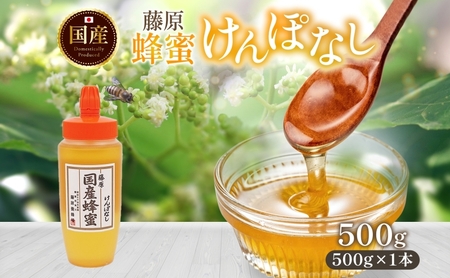 藤原国産蜂蜜 けんぽなし 500g はちみつ ケンポナシ 玄圃梨 国産 単花蜜 朝しぼり 完熟 ハチミツ パン 菓子 トースト ホットケーキ ヨーグルト 調味料 隠し味 お取り寄せ ポリ容器 常温 常備 送料無料 藤原養蜂場 岩手県 盛岡市