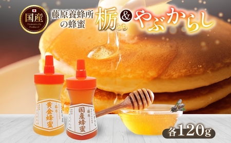 藤原黄金蜂蜜 栃 国産蜂蜜 やぶからし 各120g 計240g はちみつ とち ヤブカラシ 国産 単花蜜 朝しぼり 完熟 ハチミツ パン 菓子 トースト ホットケーキ ヨーグルト 調味料 隠し味 お取り寄せ ポリ容器 常温 常備 送料無料 藤原養蜂場 岩手県 盛岡市