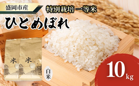 盛岡 大櫻農園 「ひとめぼれ 白米」10kg 特別栽培 一等米 2025年産新米 お米 精米 白米 こめ コメ おこめ ごはん ブランド米 常温 国産 岩手県 岩手 盛岡市産