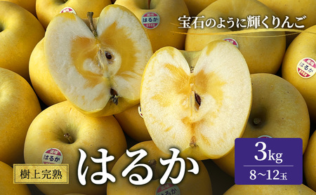 ㊮n͂邩 3kg ь S ʕ t[c  fU[g {̉ʕ {̃t[c G߂̉ʕ G߂̃t[c  茧 s