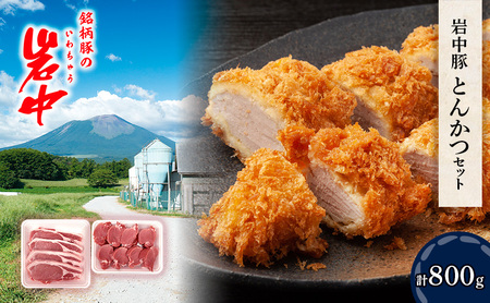 岩中豚とんかつセット (合計約800g) 豚ロース とんかつ用 豚ヒレカツ用 盛岡市 国産 豚肉 お肉 豚ロース ロース 豚ヒレカツ ヒレカツ とんかつ セット