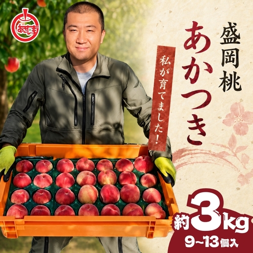 【先行予約】 桃あかつき約3kg(9~13個)【8月上旬～順次発送】【asashima002】