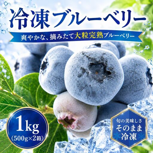 [8月以降発送]大粒 ブルーベリー 1kg (500g×2) 北田りんご園 kitada001 ブルーベリー