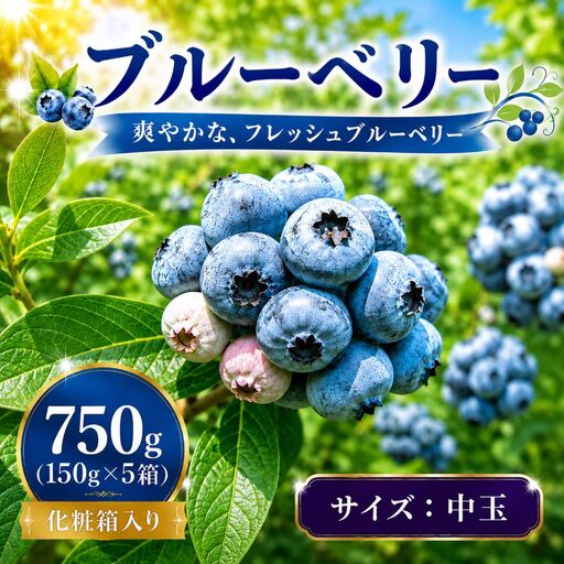 [7月発送]完熟 ブルーベリー 中玉 750g (150g×5) 北田りんご園 kitada002 ブルーベリー