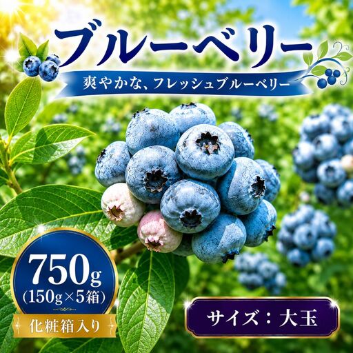 [7月以降発送]完熟 ブルーベリー 大玉 750g (150g×5) 北田りんご園 kitada003