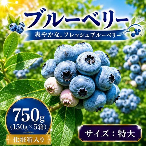 [7月発送]完熟 ブルーベリー 特大 750g (150g×5) 北田りんご園 kitada004
