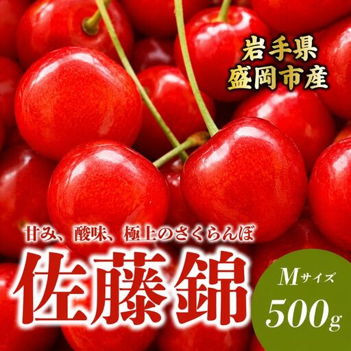 [6月発送] さくらんぼ 佐藤錦 M 500g 田屋果樹園