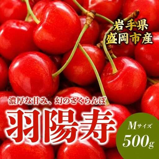 [6月発送] さくらんぼ 羽陽寿 M 500g 田屋果樹園