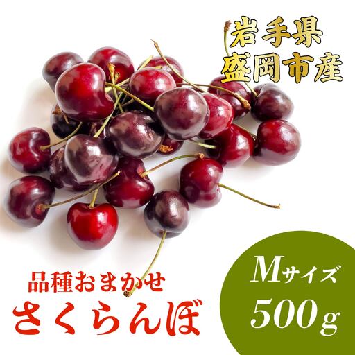 [6月発送]さくらんぼ 品種 おまかせ (紅さやか/小夏) M 500g 田屋果樹園