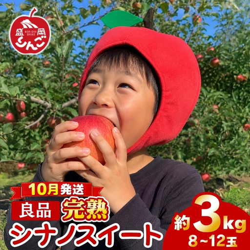 期間限定 贈答用 シナノスイート 3kg(8~12玉)[10月発送] りんご シナノスイート 田村ふぁーむtamura011