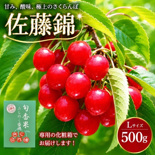 さくらんぼ 佐藤錦 L500g 田屋果樹園 taya011 さくらんぼ