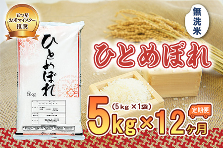 【12か月定期便】盛岡市産ひとめぼれ【無洗米】5kg×12か月