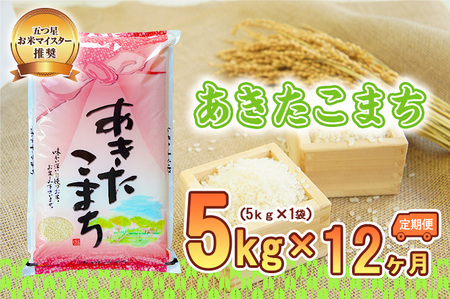   12 ܂ 5kg     R  ͂ ă}CX^[  uh 퉷 Y 茧  sY  y 12