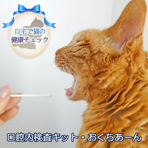 [自宅で猫の健康チェック] 口腔内検査キット・おくちあーん