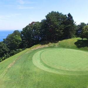 {ÃJg[Nu̓yjv[Ҍ_sE`Pbg Stv[ ̌`Pbg _y1326847z