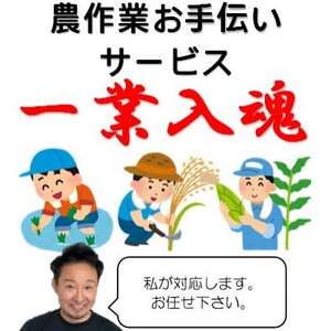 岩手県宮古市 農作業お手伝いサービス[1回(1日):7時間以内]_ 地域サービス _