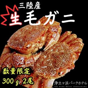 [先行予約(2月発送)]岩手県より獲れたて鮮魚直送便 [生毛ガニ300g×2杯][配送不可地域:離島・沖縄県・九州]