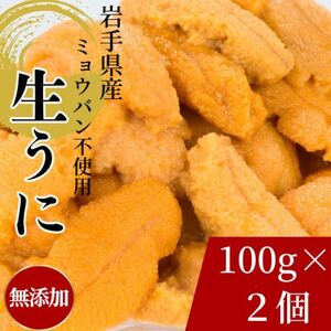 天然生うに100g×2パック岩手県産　ミョウバン不使用_生うに100g×2パック うにうにうにうにうに_【配送不可地域：離島・沖縄県・九州】【1625393】