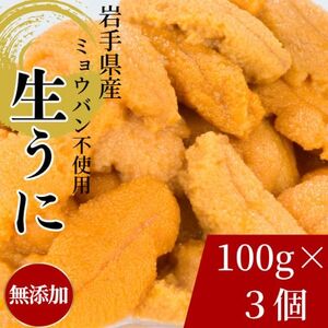 天然生うに100g×3パック　岩手県産　ミョウバン不使用_生うに100g×3パック うにうにうにうにうに_【配送不可地域：離島・沖縄県・九州】【1625398】