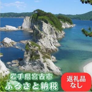 [返礼品なし]岩手県宮古市への寄附(1,000円)
