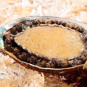 �y�O���d�ΎY�z�V�R�����(2���i) 1kg(�Ⓚ)�y�z���s�n��F�����z�y1698550�z