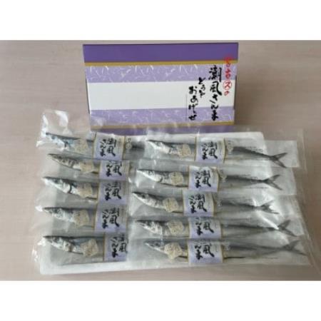潮風さんま20本【配送不可地域：離島】【1733356】