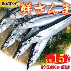 [期間限定]鮮さんま 大型 15本 (1本約120g〜130g) 冷蔵 サンマ 秋刀魚 旬 産地直送 新鮮さんま 魚 焼き魚 三陸さんま 岩手 さんま 大船渡市