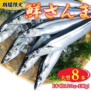 [期間限定] 鮮さんま 大型 8本 (1本約120g?130g) 冷蔵 サンマ 秋刀魚 旬 海鮮 魚貝類 魚介類 産地直送 新鮮さんま 魚 焼き魚 三陸さんま 岩手 さんま 大船渡市