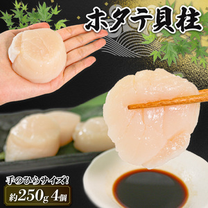 ホタテ貝柱 冷凍 250g ほたて 帆立 貝柱 貝 海鮮 魚貝類 魚介類 ホタテバター 醤油 バター お刺身 刺身 さしみ ご飯 おかず 三陸産 岩手県 大船渡市