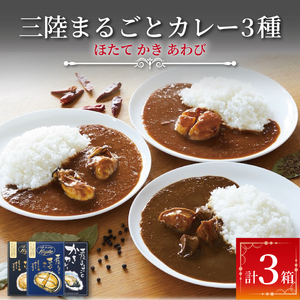 レトルトカレー 詰合せ 3個 カレー レトルト 辛口 甘口 ビーフカレー 玉ねぎ オニオンチャツネ カレー専門店 かれー curry スパイス スパイシー 簡単 時短 ごはん 夕飯 おかず 米 丼 常温 保存 常温保存 レンジ 加工食品 惣菜 大船渡 三陸 岩手県 国産