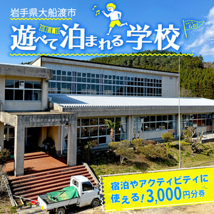 三陸アクティブ 利用チケット 3000円分 1枚 ( バーベキュー /コーヒー豆焙煎体験 / 郷土料理作り体験 など ) 利用券 宿泊券 BBQ