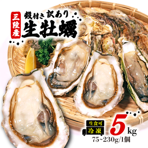 訳あり 岩手県産冷凍殻付き牡蠣 5kg(生食可) 殻付 付き 生食 冷凍 生食用 訳あり 大きさ不揃い 不揃い 三陸 三陸産 大船渡 牡蠣 カキ カキ 