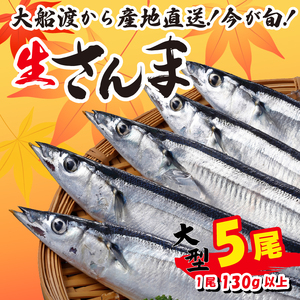 [先行予約受付] さんま 大型5尾 冷蔵 期間限定 [発送:2025年9月〜2025年11月下旬] サンマ 秋刀魚 三陸 岩手 大船渡市