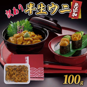 訳あり 半生うに 100g 冷凍 うに キタムラサキウニ ミョウバン不使用 生うに ウニ 雲丹 寿司 Sea urchin 新鮮 ごはん 夕飯 おかず おつまみ 晩酌 米 丼 海産物 海鮮 魚介 魚介類 大船渡 三陸 岩手県 国産