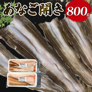 あなご開き 2〜3パック(計800g) あなご 穴子 アナゴ 白焼き 蒲焼 お吸い物 天ぷら 煮穴子 和食 海産物 味噌汁 ごはん 夕飯 おかず 大船渡 三陸 岩手県 国産