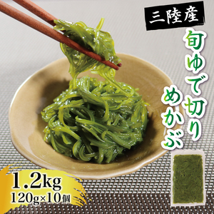旬ゆで切り めかぶ 120×10袋 計1.2kg 冷凍 海藻 海産物 国産 魚貝類 魚介類 小分け めかぶ メカブ ネバネバ 和食 味噌汁 ごはん 夕飯 おかず サラダ ギフト 贈答 大船渡 三陸 岩手県 