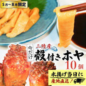 期間限定 殻付きホヤ10個 ほや ホヤ Hoya 串焼き フライ ごはん 夕飯 おかず おつまみ 晩酌 海産物 海鮮 魚介 魚介類 大船渡 三陸 岩手県 国産