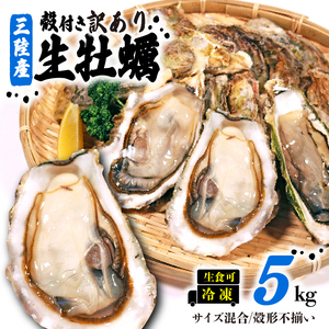 訳あり 数量限定 生産調整品 牡蠣 5kg (生食可) かき カキ 冷凍 岩手県産 殻付き 生食 生食用 訳あり わけあり 大きさ不揃い 不揃い 三陸 三陸産 株式会社國洋 岩手県 大船渡市