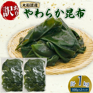DnY 󂠂 炩z 1kg (500g×2) CN C  o` L  ݂` X[v |̕ ϕ  OY 茧 Dns